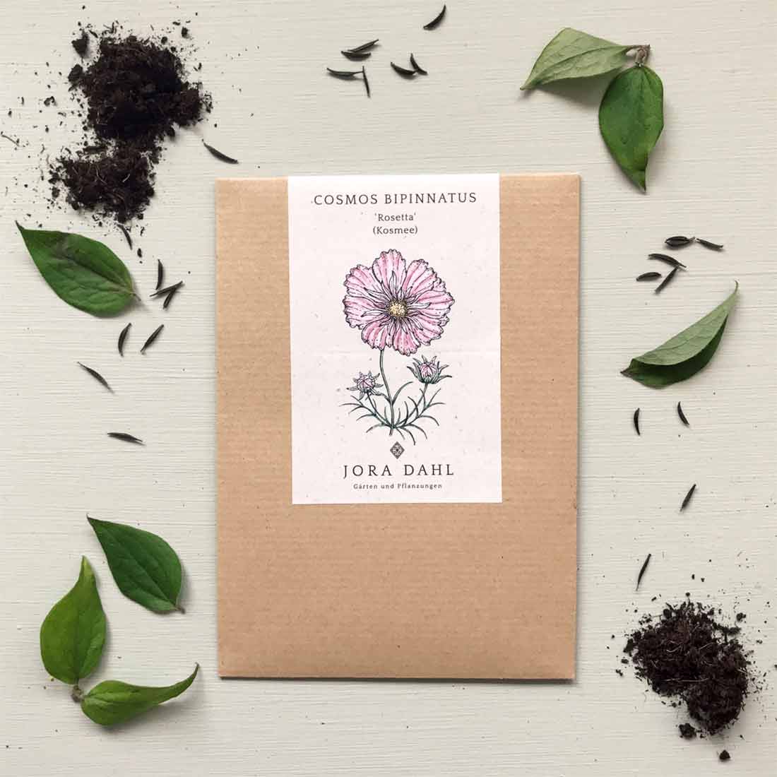 Blumensamen Cosmos bipinnatus »Rosetta« (Kosmee)