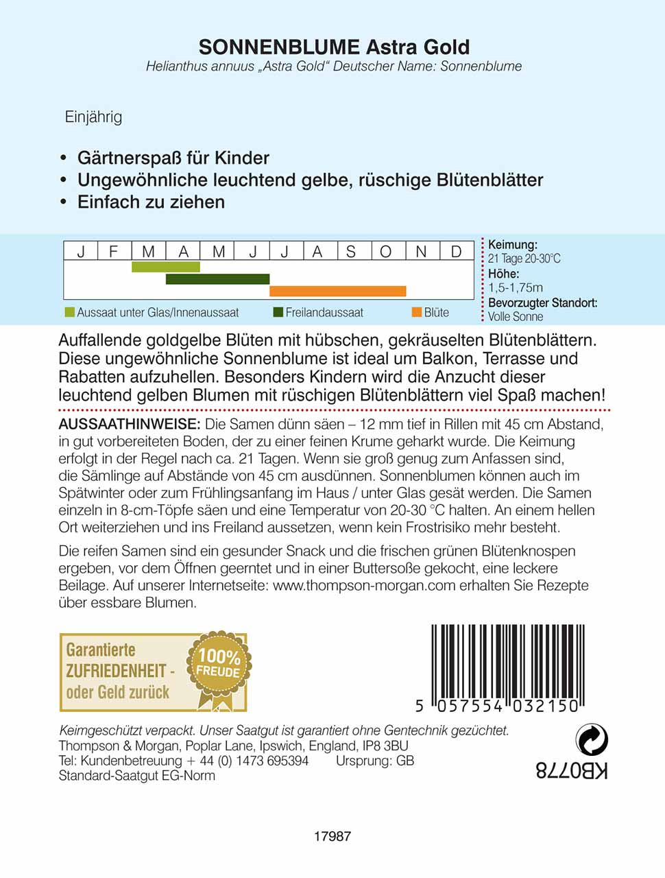 Sonnenblume Astra Gold