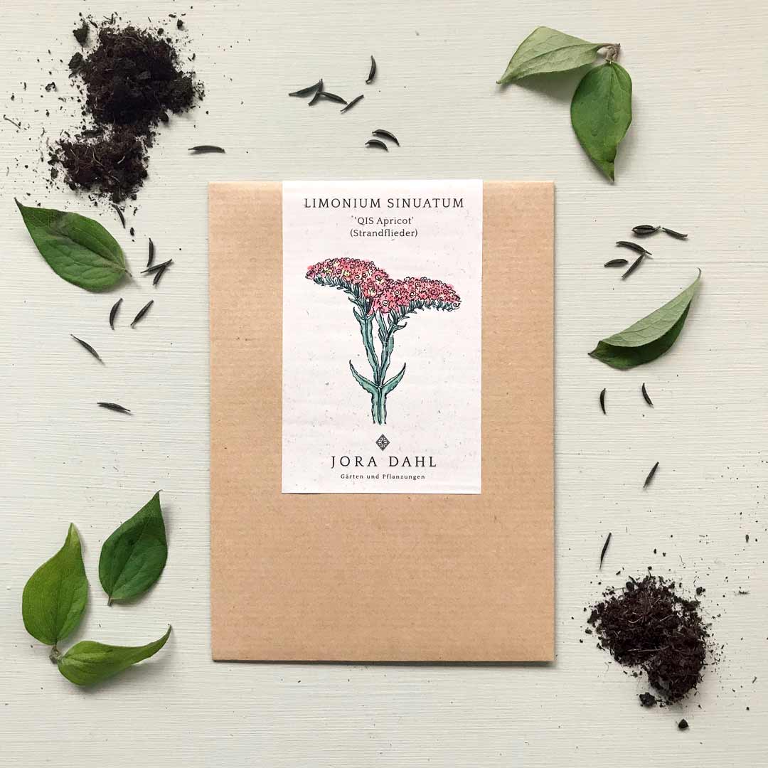 Blumensamen Limonium sinuatum ‚QIS Apricot‘