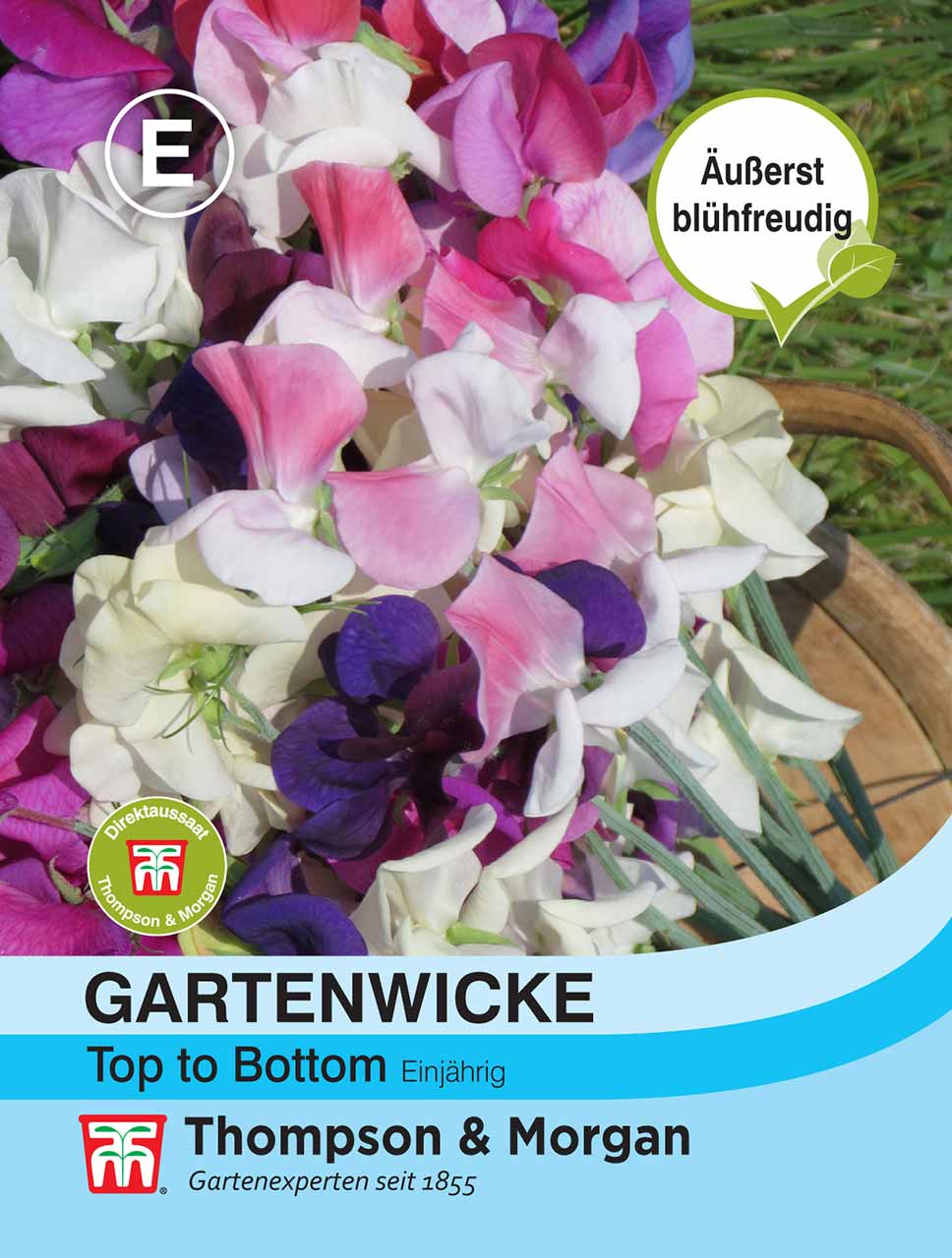 Gartenwicke Top to Bottom