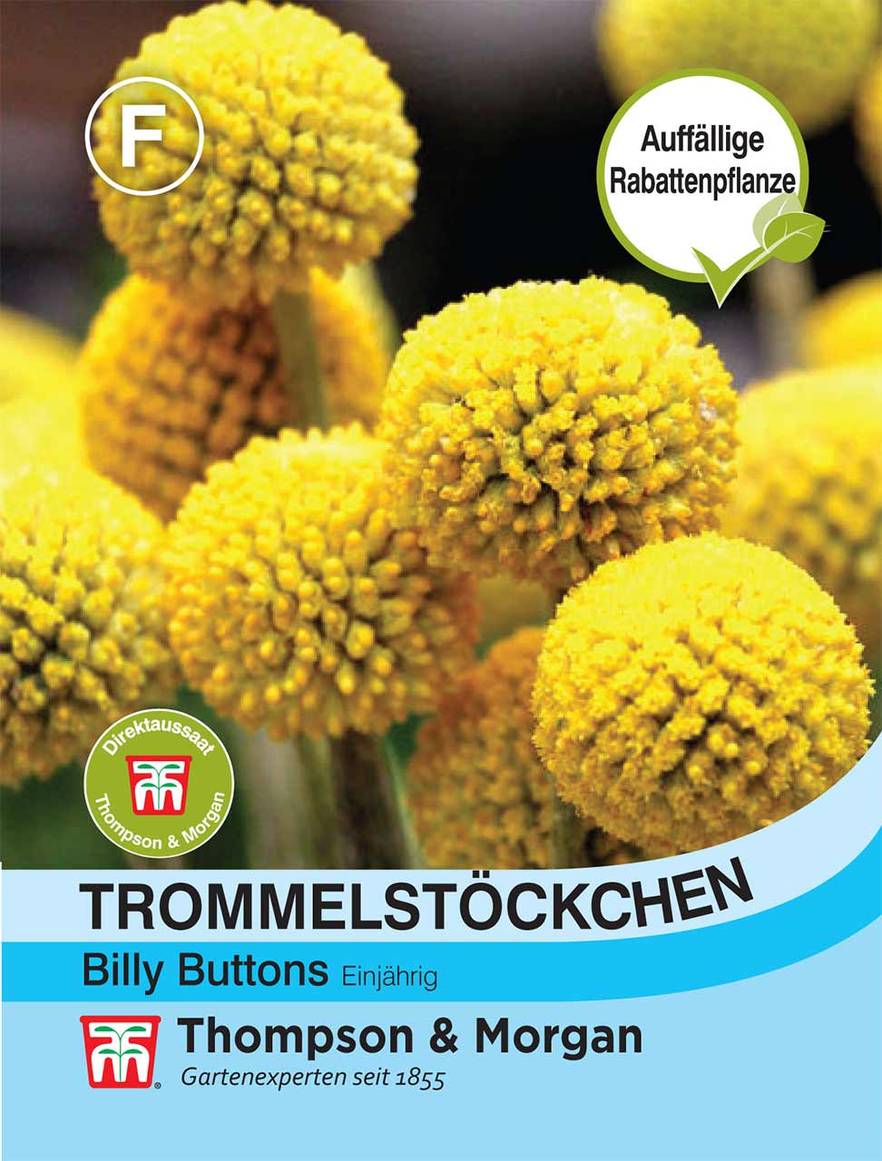 Blumensamen Tommelstöckchen »Billy Buttons«