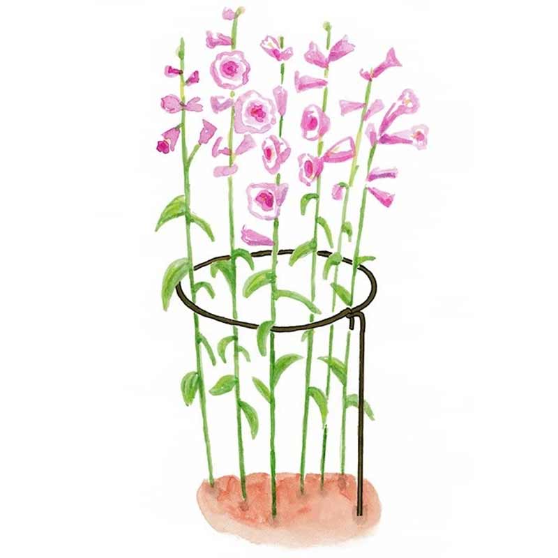 Pflanzenstützen »Round Stakes - Rust«