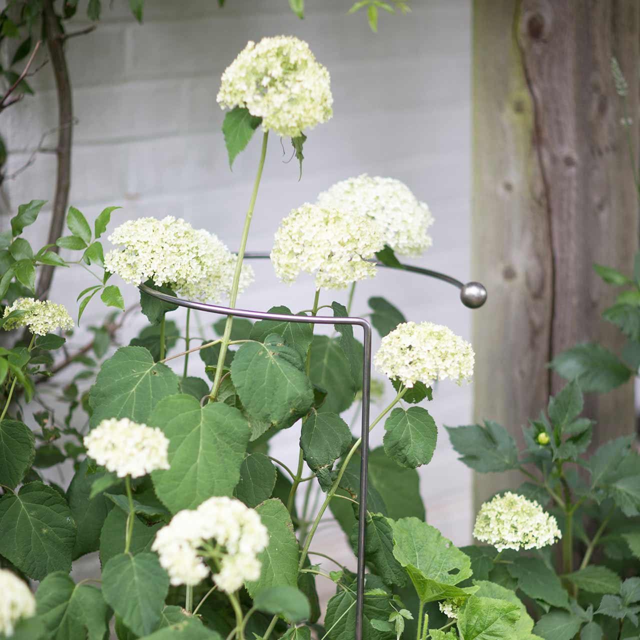 Staudenhalter »Full Hoop« 2er Set