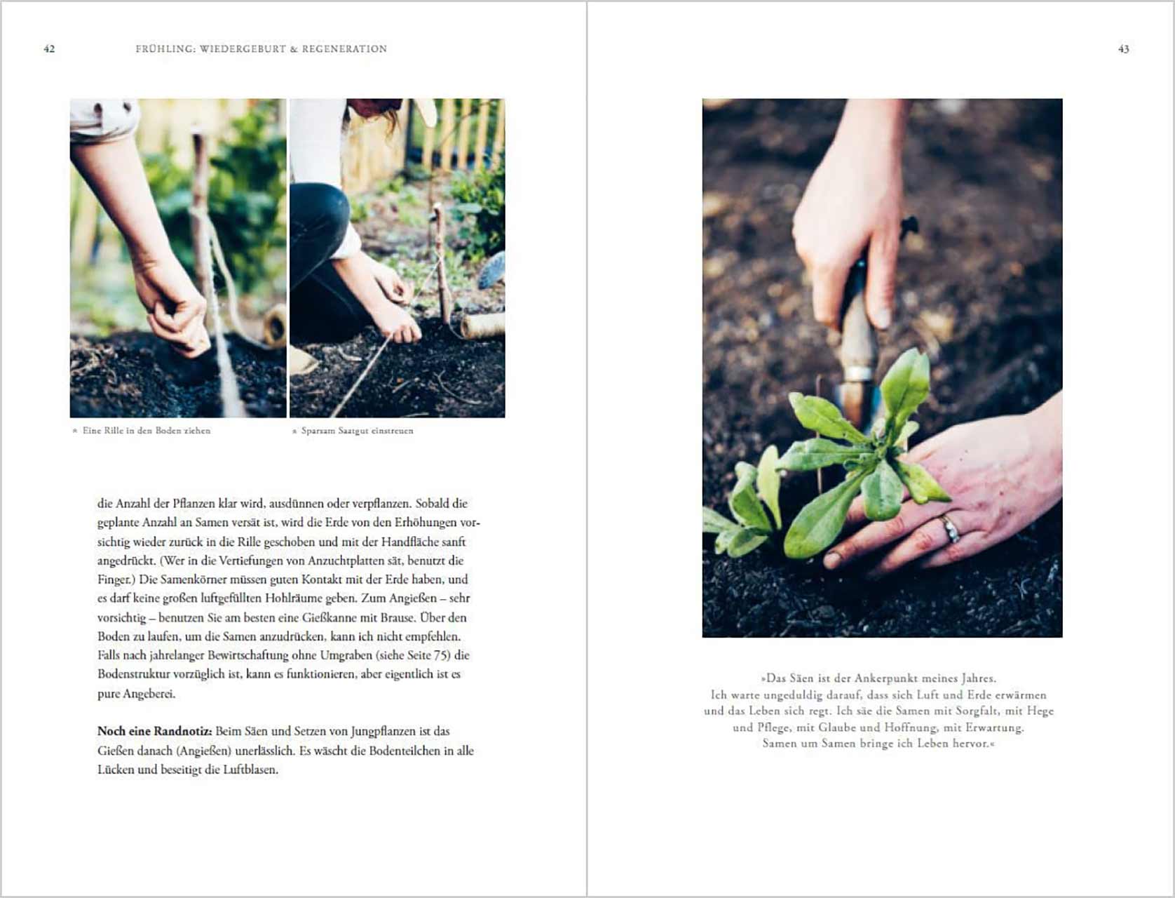 grow & gather Ein Jahr in meinem Schnittblumengarten