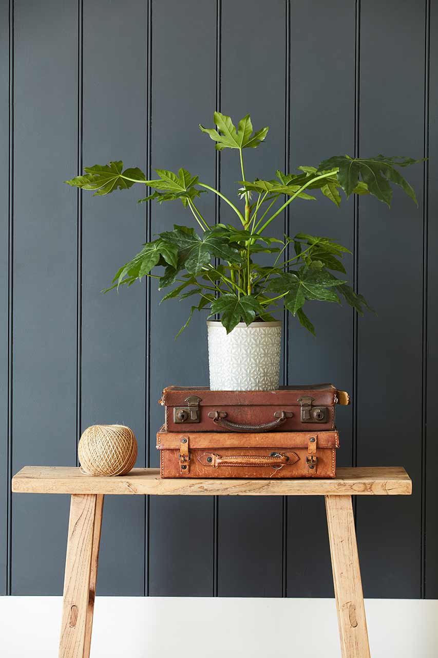 Blumenübertopf »Tuscany« - Grey