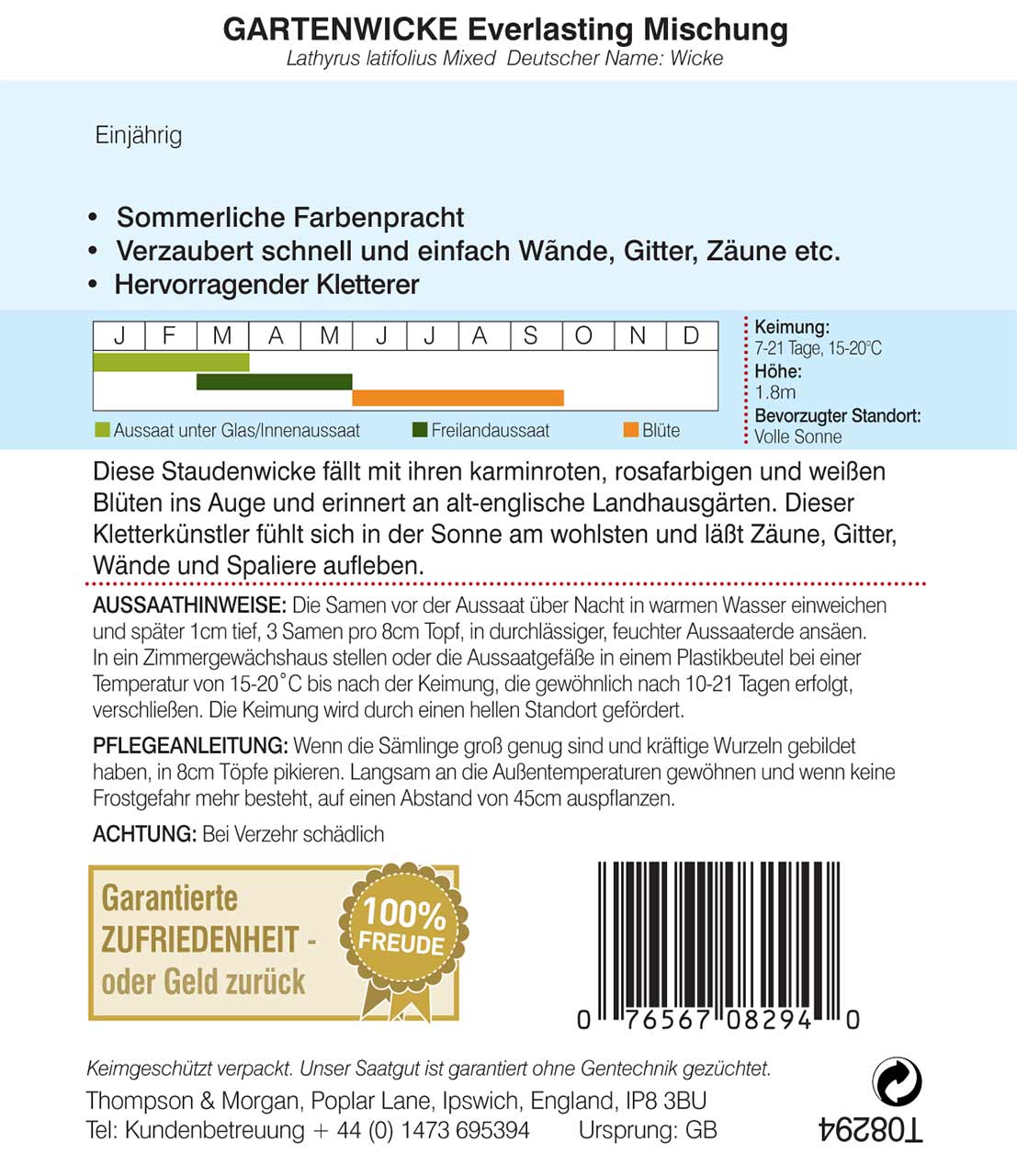 Gartenwicken Everlasting