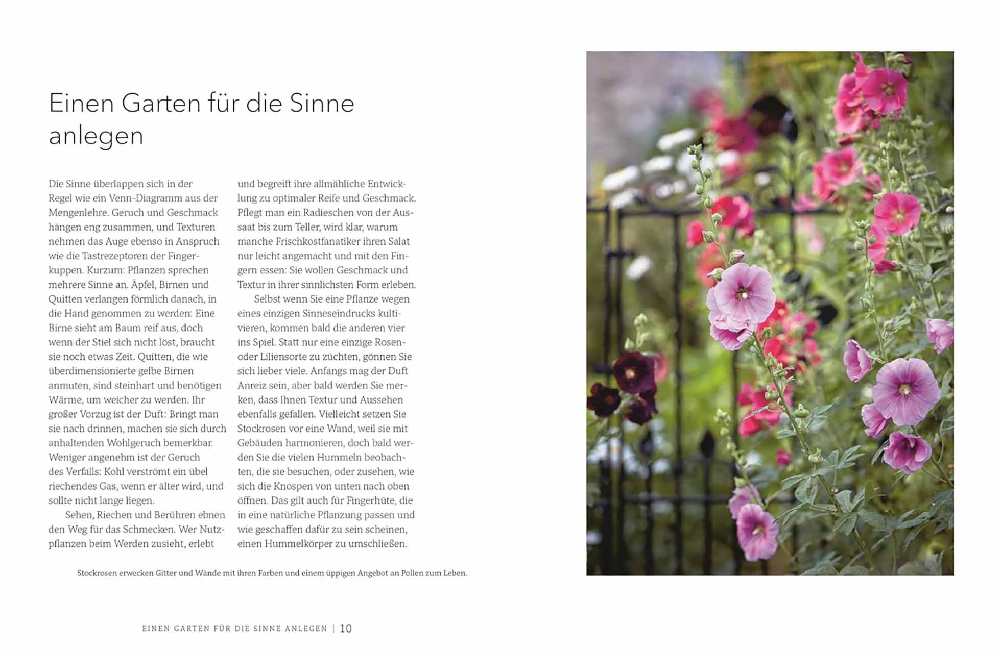 Gärtnern für die Sinne