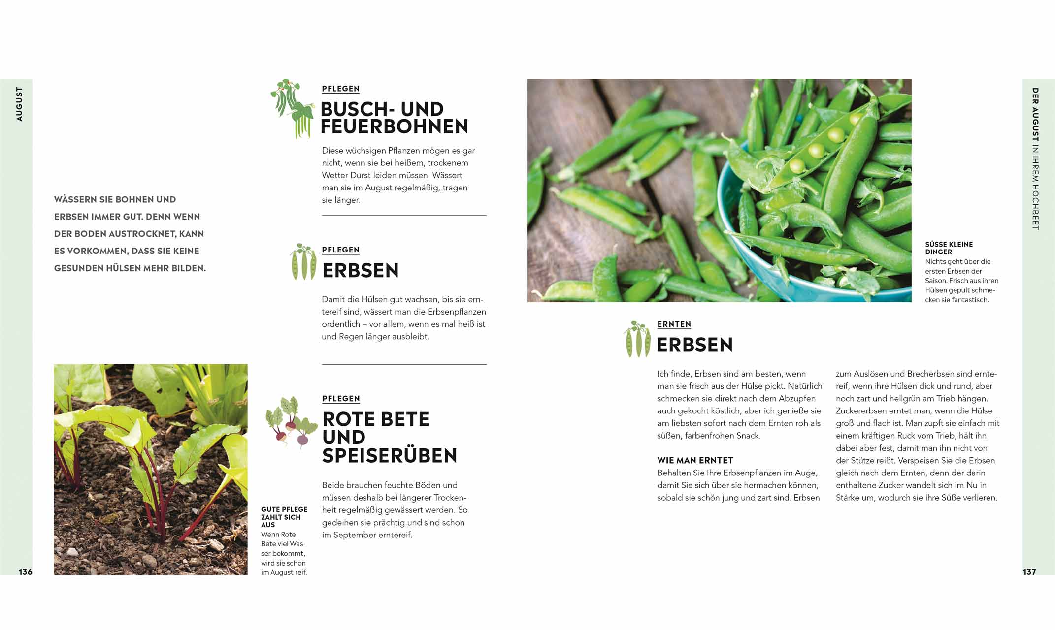 Hochbeet -  Huw Richards