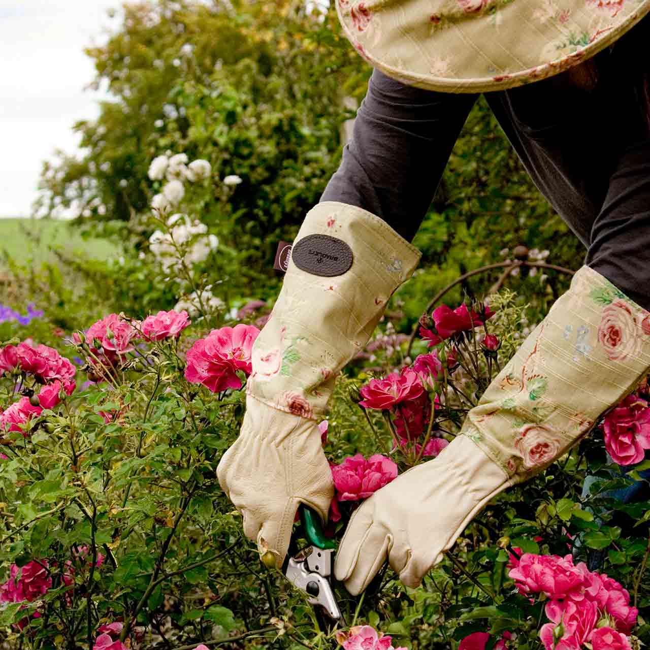 Rosenhandschuhe von Bradleys