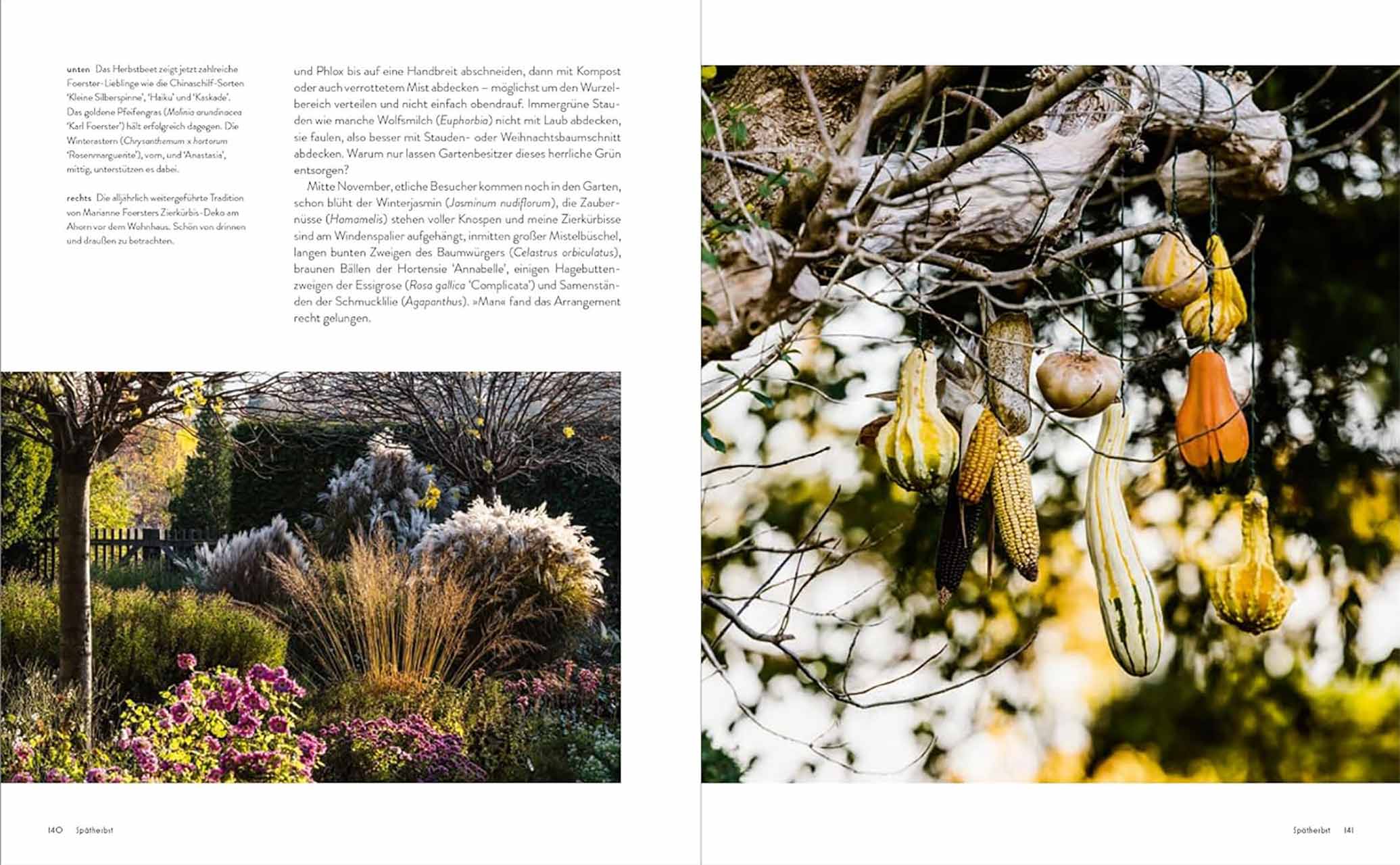 Der Garten meines Vaters Karl Foerster