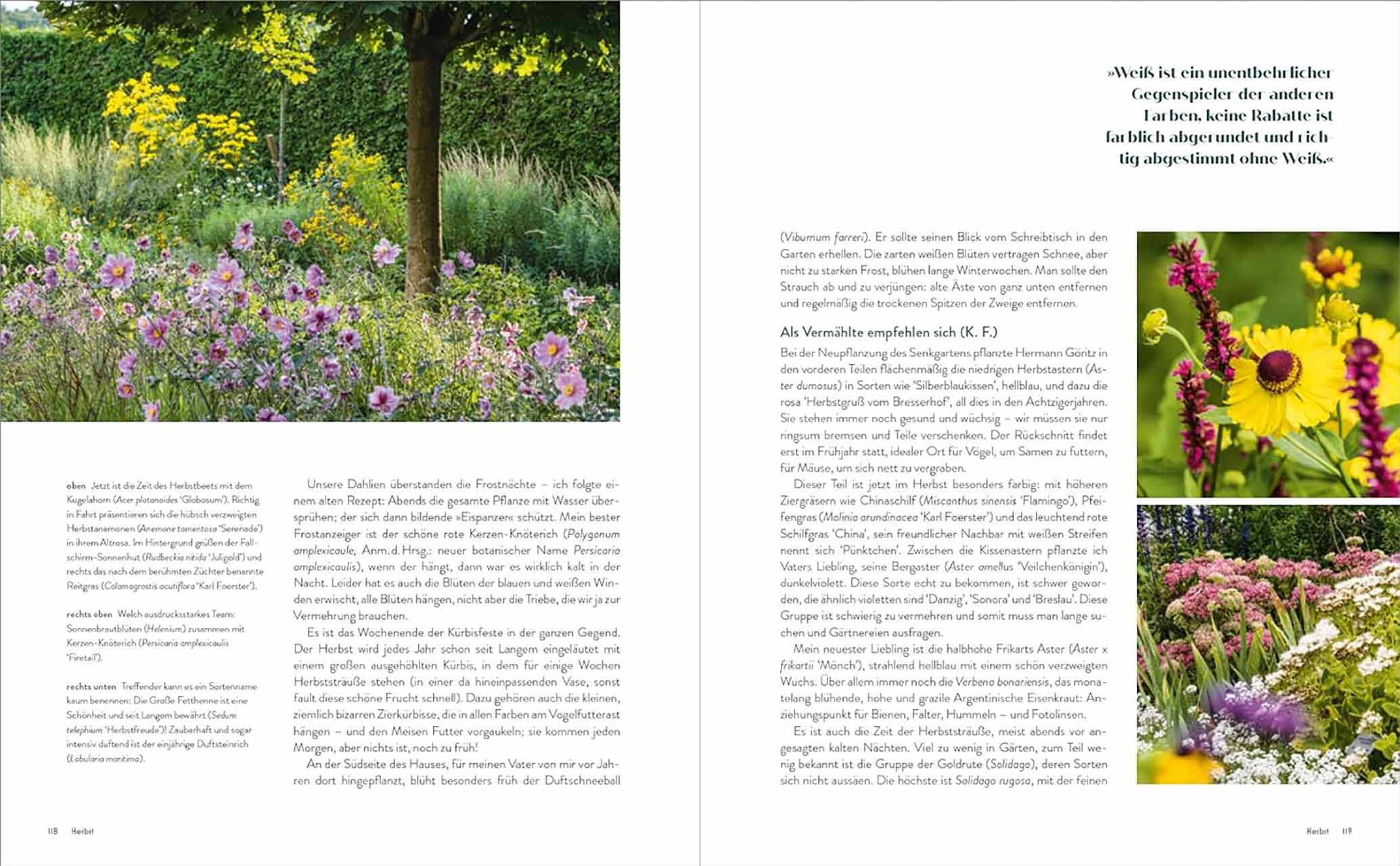 Der Garten meines Vaters Karl Foerster