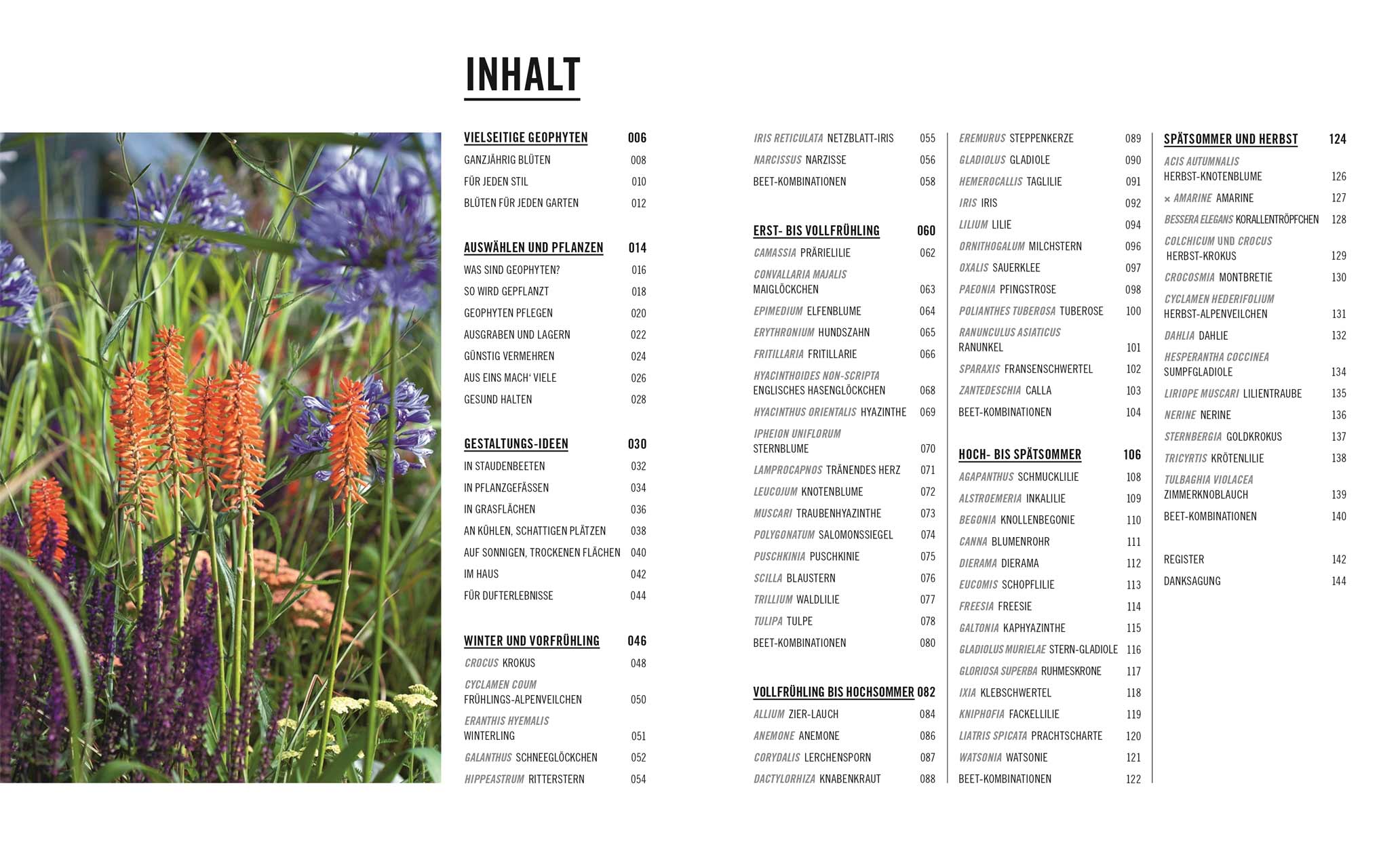 Zwiebel- und Knollenpflanzen