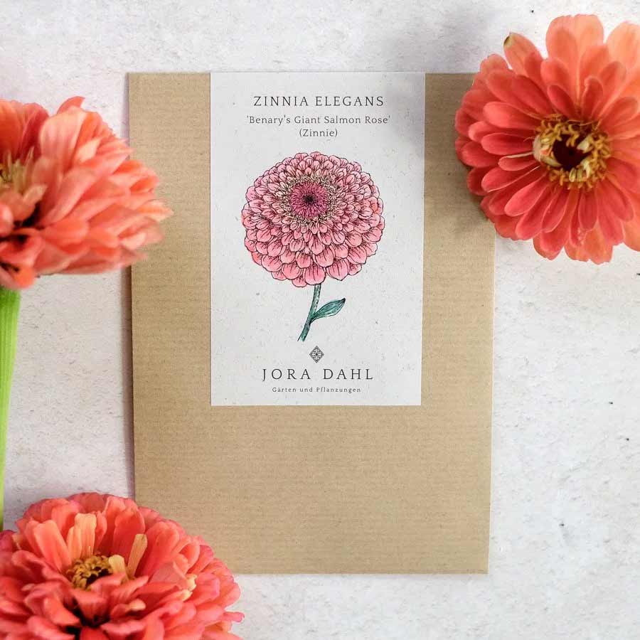 Blumensamen Zinnia elegans Bernary`s Giant Salmon Rose