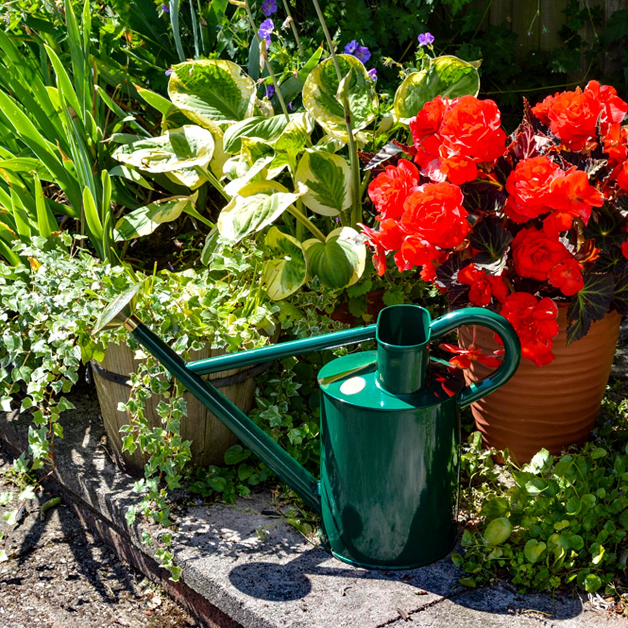 Haws Gießkanne Traditional 8,8 Liter