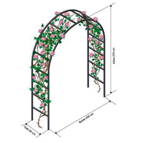 Rosenbogen - Breite 2,0 m
