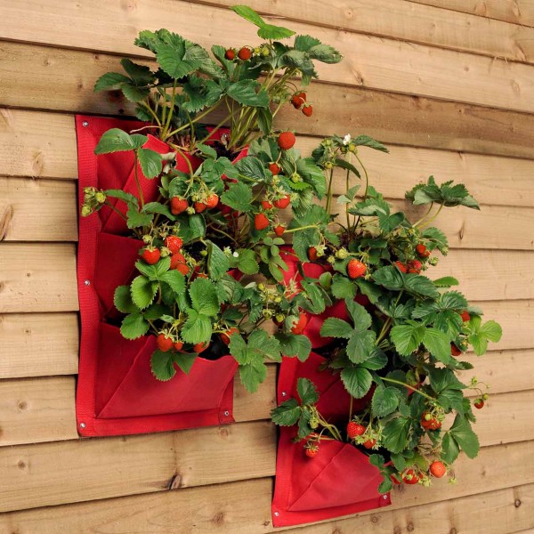 Pflanztaschen für die Wand »Strawberry« 2er Pack