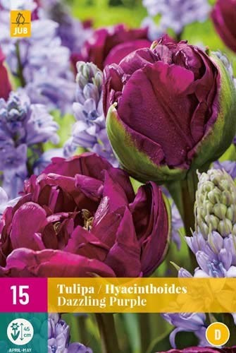 Blumenzwiebel-Kollektion »Dazzling Purple«