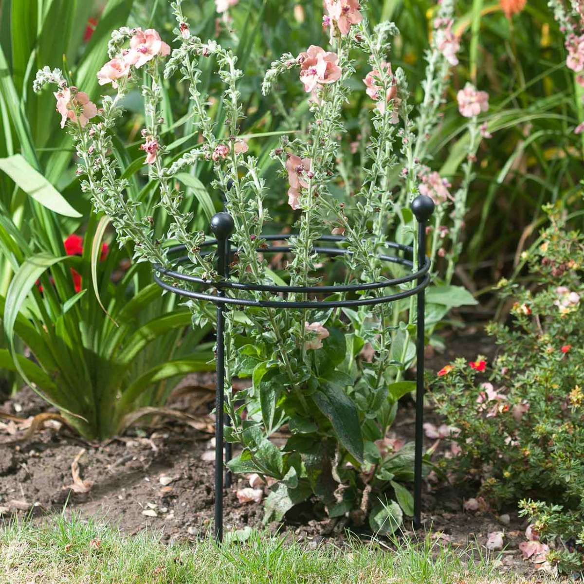 Pflanzenstütze »Short Plant Support« Staudenhalter Pflanzenstützen