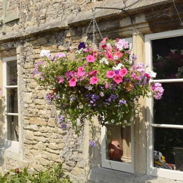 »Hanging Basket«