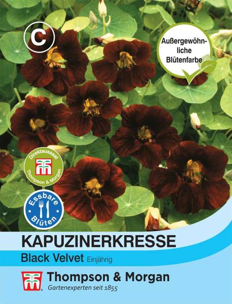 Blumensamen Kapuzinerkresse Black Velvet