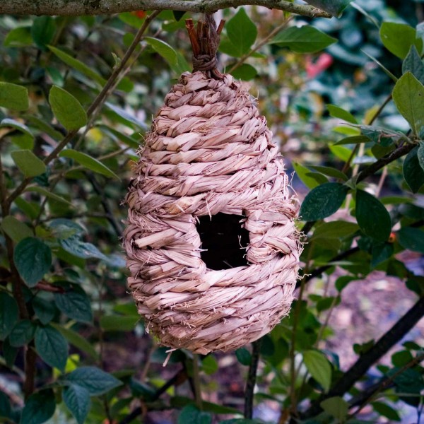 Vogelhöhle »Egg Pouch«