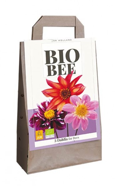 Dahlien Kollektion Bio Bee