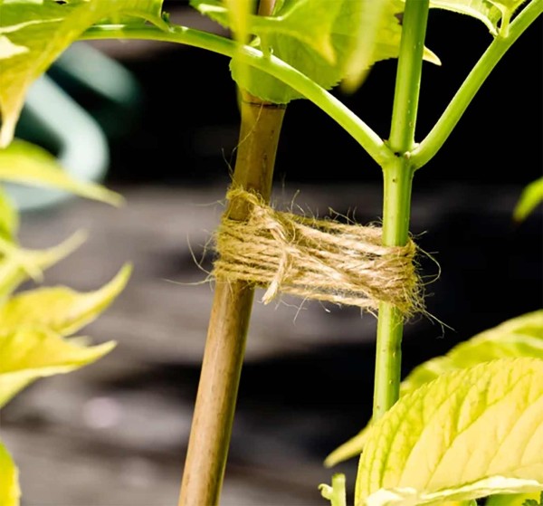 Gartenschnur aus Flachs