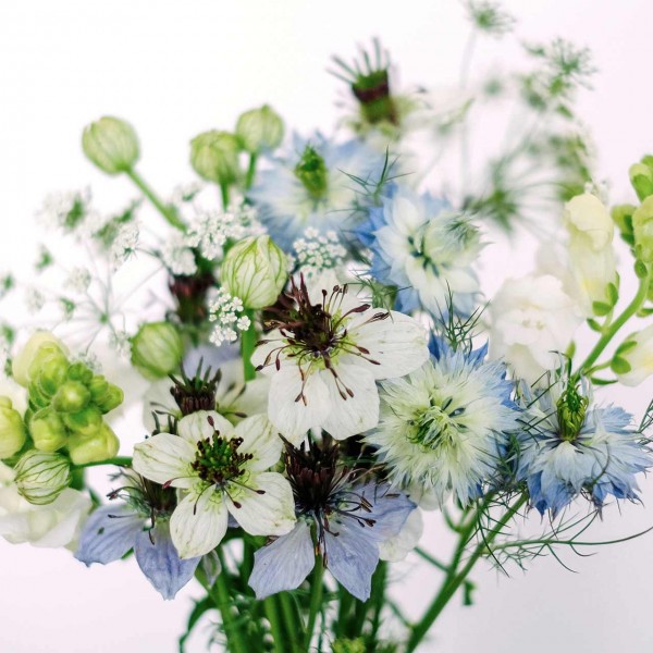 Wild Bouquets Nigella Collection