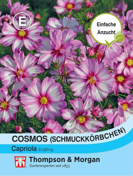 Blumensamen Cosmos Capriola