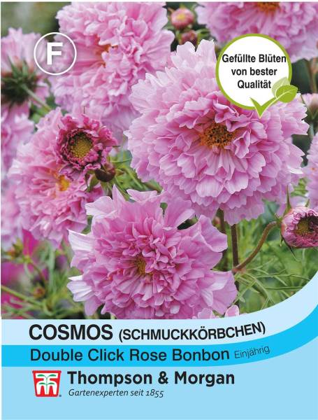 Blumensamen Cosmos Double Click Rose Bonbon