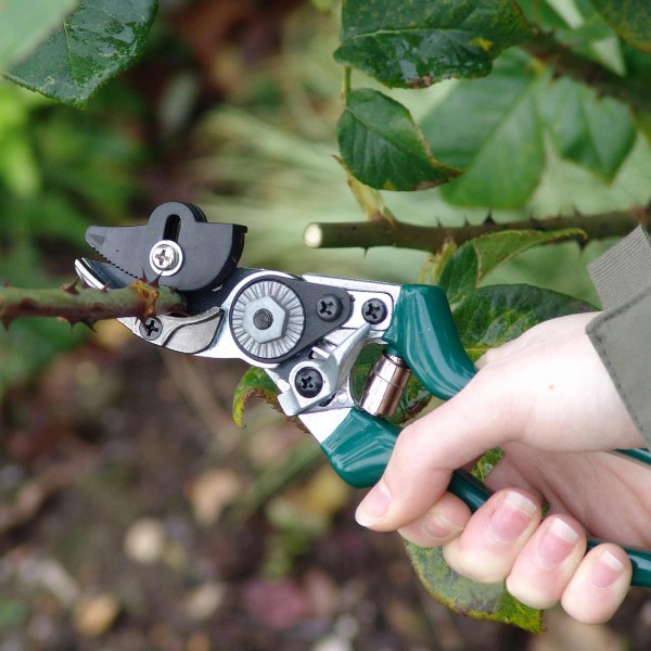 Rosenschere mit Haltefunktion