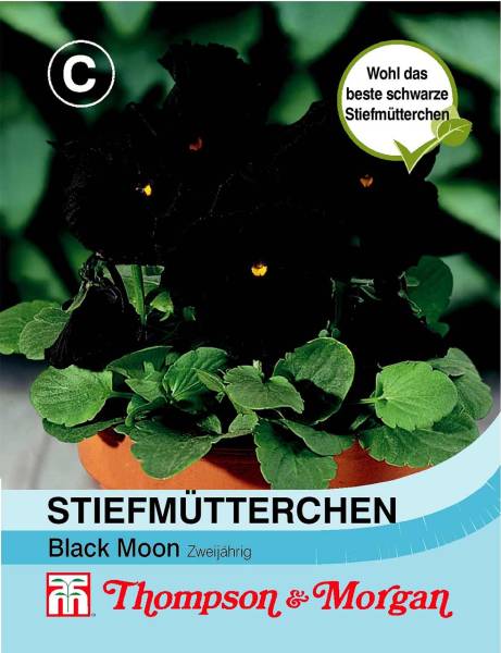 Stiefmütterchen Black Moon