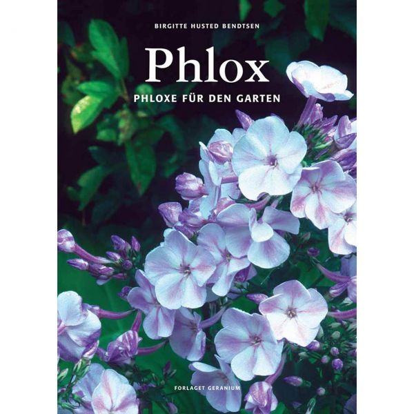 Phlox