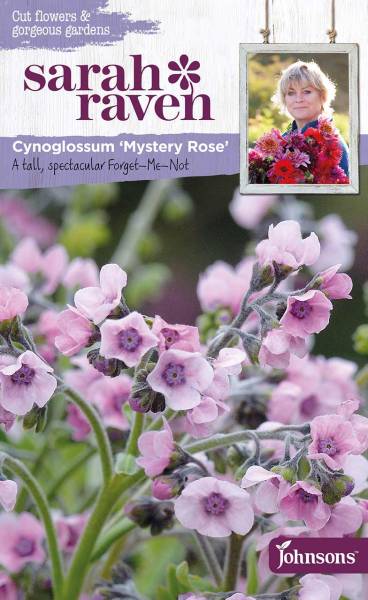 Cynoglossum » Mystery Rose« von Sahra Raven