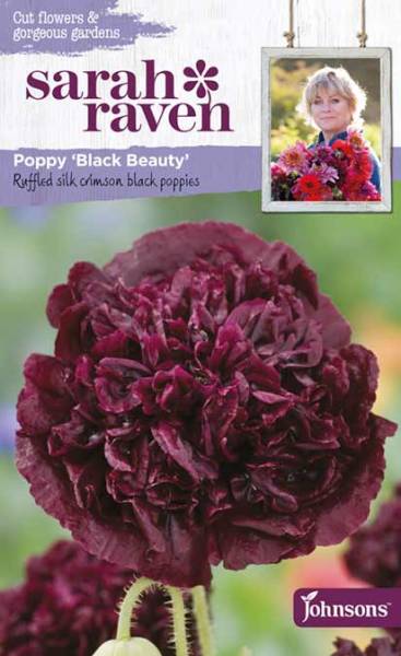 Poppy »Black Beauty« von Sarah Raven
