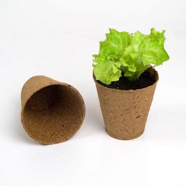 Anzuchttöpfe rund - Ø8 cm - (H)8,5 cm Anzuchttöpfe rund - Ø8 cm - (H)8,5 cm