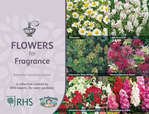 Flowers for Fragrance RHS Collection