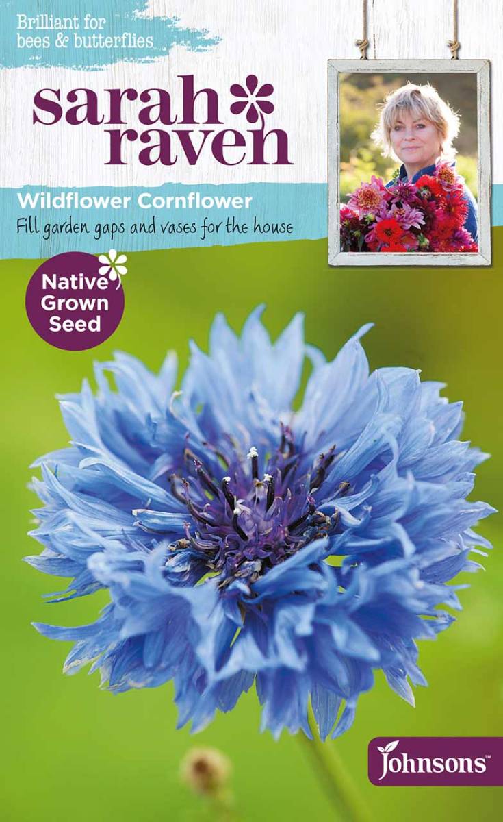 Blumensamen Wildflower Cornflower (Kornblumde) von Sarah Raven