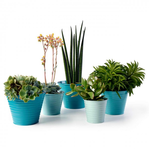 Pflanztöpfe »Ombré Pots«