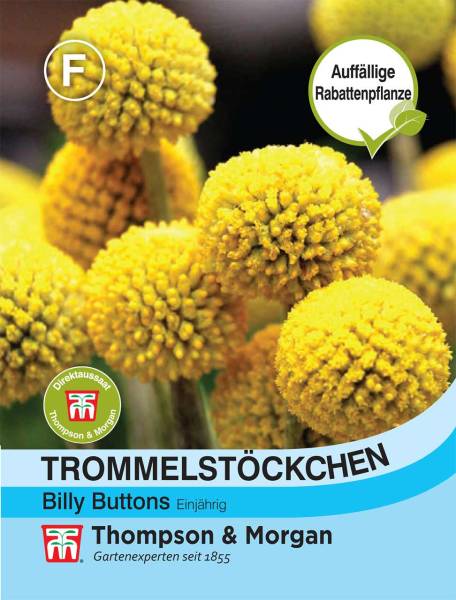 Blumensamen Tommelstöckchen Billy Buttons