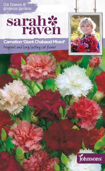 Blumensamen Carnation Giant Chabaud Mixed Landnelke