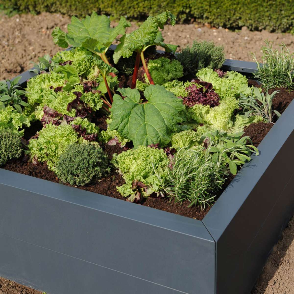 Hochbeet »Anthrazit« Hochbeete aus Metall Hochbeete