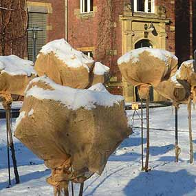 Winterschutz für Pflanzen