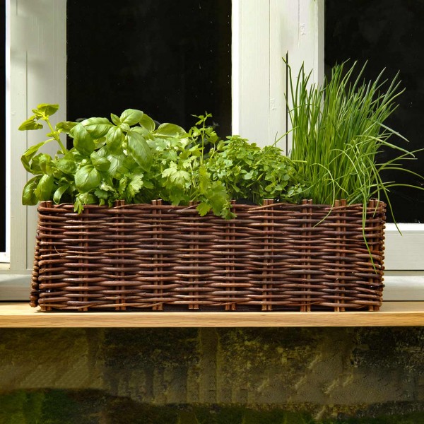 Pflanzset »Window Box«