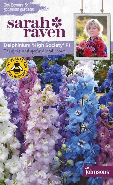 Delphinium High Societey Sara Raven