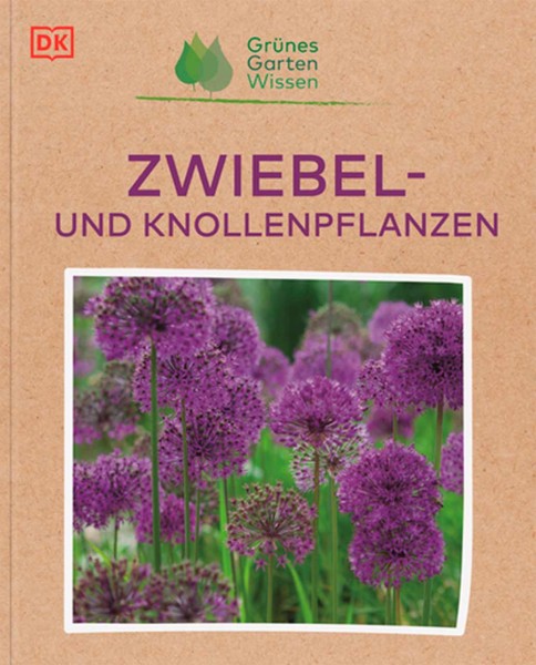 Zwiebel- und Knollenpflanzen