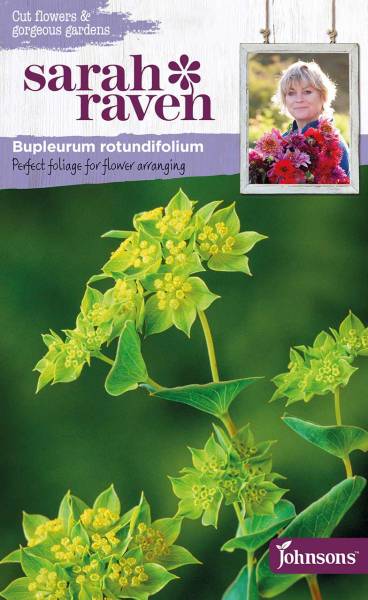 Bupleurum rotundifolium von Sarah Raven