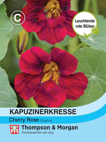 Kapuzinerkresse Cherry Rose