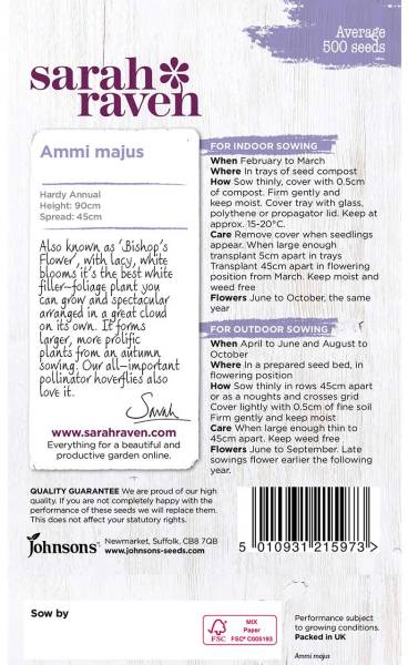Silberdill 'Knorpelmöhre' Samen – Ammi Majus, Einjährig, Weiß, Für Sträuße Wie Schleierkraut
