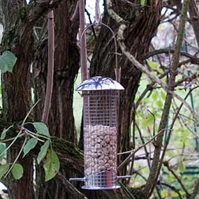 Vogelfuttersäulen und Vogelfutterspender